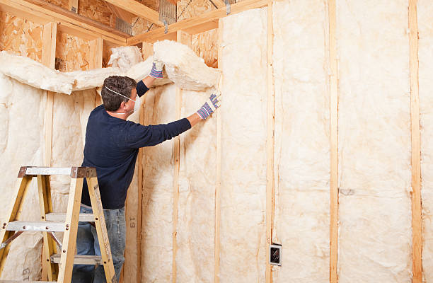 Best Basement Insulation  in Menahga, MN